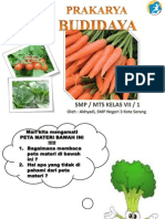 Download Prakarya kelas 7 budidayapptx by Aditiga Serang SN233469125 doc pdf