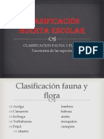 Clasificación Huerta Escolar