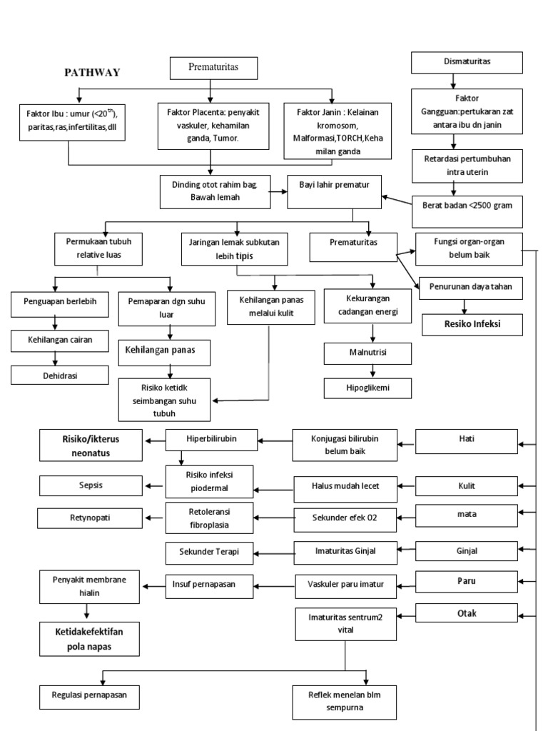 Pathway Penanganan BBLR dan Prematuritas | PDF | Kesehatan Holistik ...