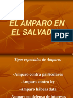 Presentacion AMPARO
