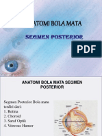 Anatomi Mata Posterior