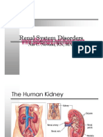 Renal System Disorders Renal System Disorders Renal System Disorders Renal System Disorders