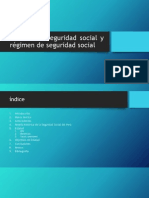 Sistema de Seguridad Social y Régimen de Seguridad