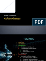 2-SintesisAcidosGrasos