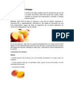 Descripción del Mango: Características, Variedades y Exportación a EE.UU