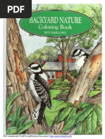 Backyard Nature Coloring Book