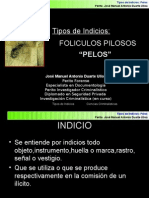 Indicios Pelos