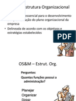 3 OS&M - Estrutura Organizacional.ppt