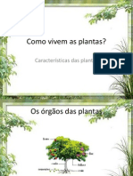 Como Vivem as Plantas