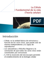 presentacinteoriacelular-091012072259-phpapp01