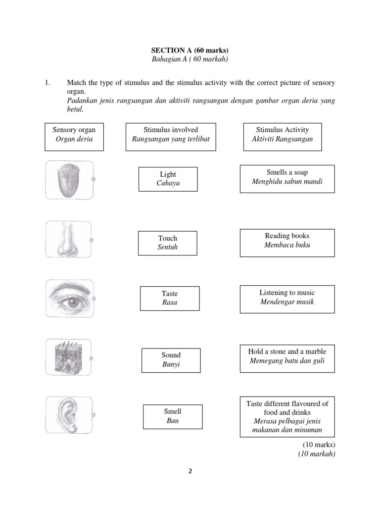 Contoh Soalan Sains Tingkatan 2 Pdf