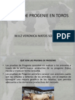 Prueba de Progenie en Toros