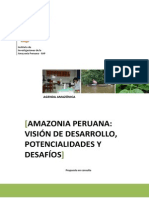 Vision de Desarrollo Sostenible de La Amazonia Peruana