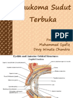 Glaukoma Sudut Terbuka