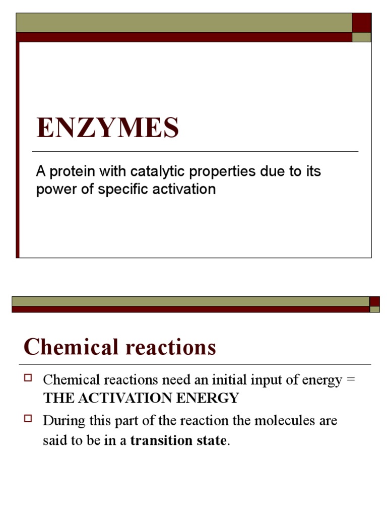 Enzymes A Protein With Catalytic Properties Due To Its Power of Specific Activation PDF