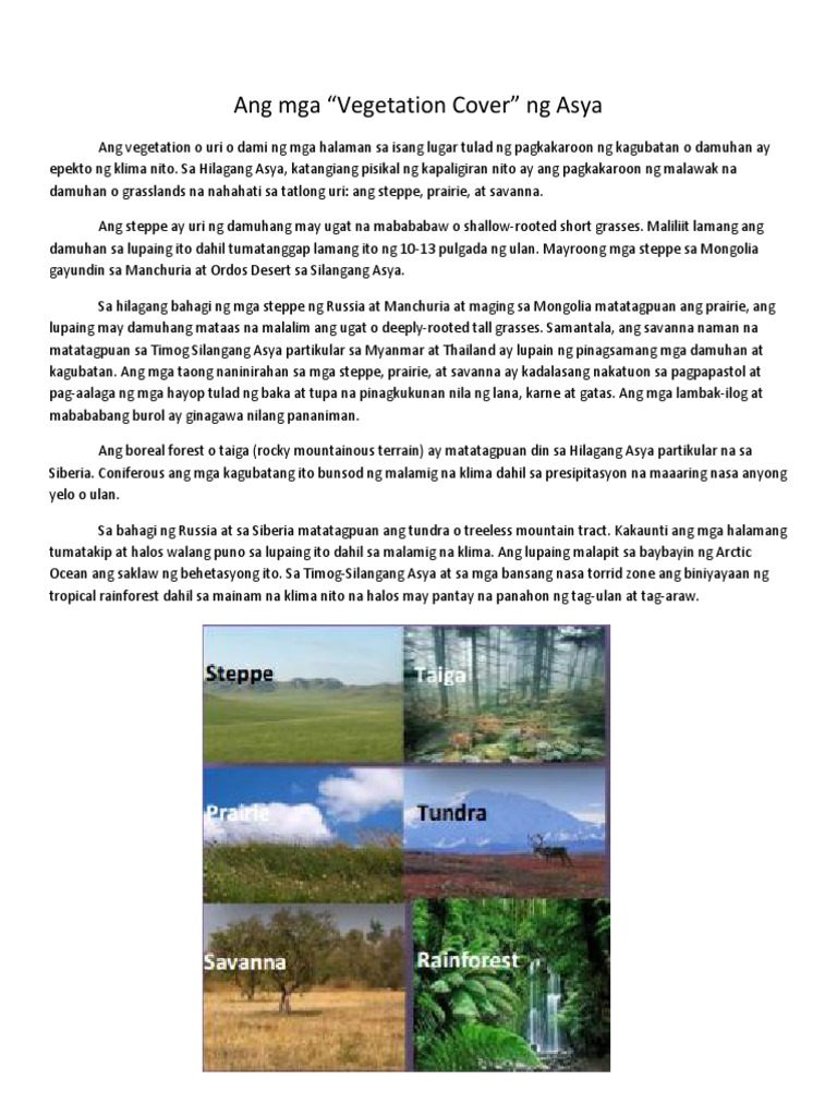 Ang Mga Vegetation Cover Ng Asya