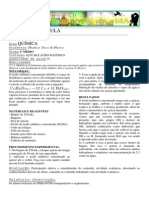 PRÁTICA03_Açúcar e ácido sulfúrico.pdf