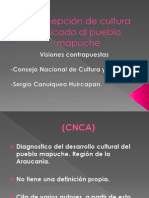 Concepción de Cultura Aplicado Al Pueblo Mapuche