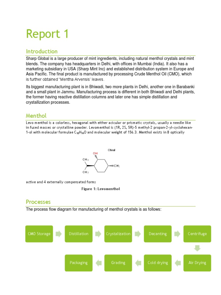 Menthol Production Process Overview | PDF