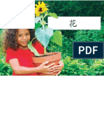 Grade K Level A Book 030 The Flower Chinese