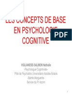 1 1 Viglianese PsychoCognitive