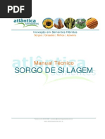Manual Sorgo de Silagem