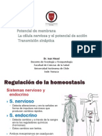 2.Potenciales de Membrana