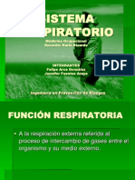 Diapo Pulmones