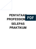 Penyataan Professional Selepas