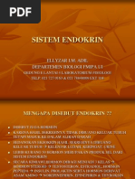 Contoh Dan Cara Menulis Essay (Esai)