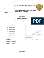 Derivadas Grupo 1 Minas