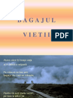 Bagajul Vietii