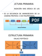 Estructuras de Las Proteínas