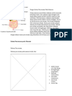 Fungsi Sistem Pencernaan Pada Manusia