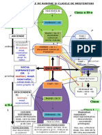 Schema Rude Mostenitori