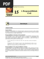 CIV 15 - A Responsabilidade Civil