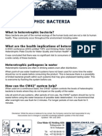 Heterotrophic Bacteria