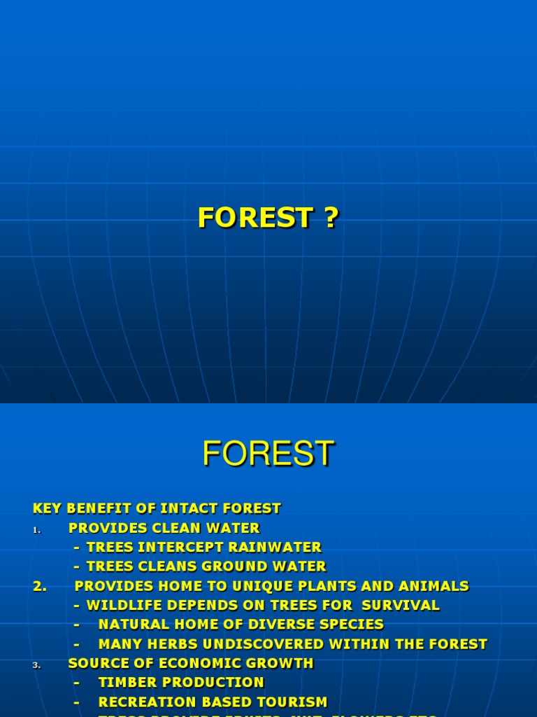 Forest | PDF