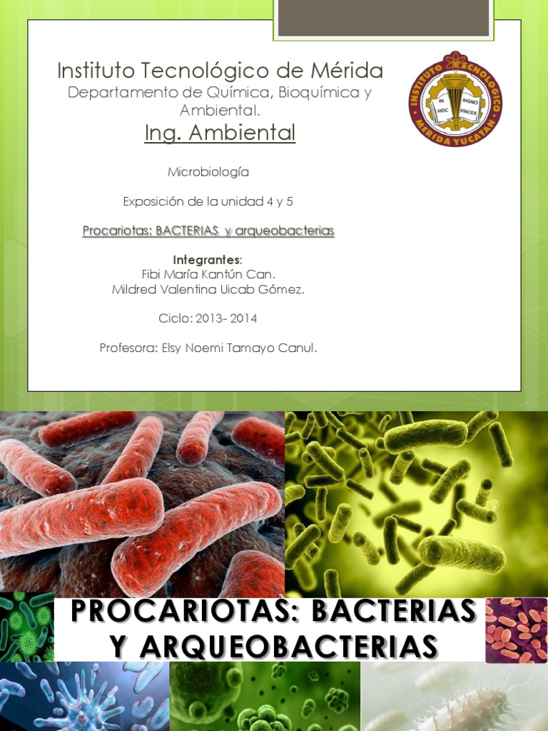 Morfología y Estructura de Arqueobacterias | PDF | Las bacterias | Archaea
