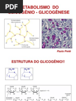 Aula-Metab Do Glicogênio