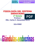 Sistema Endocrino 2 - Semana