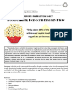 Directed Study - Day 2 - Biology - Popcorn Energy Flow Lab Report - Instruction Sheet