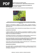 Novo Microscópio Mostra Vírus Em Escala Atômica Pela Primeira Vez