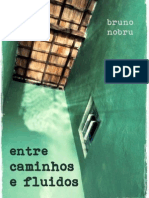 entre caminhos e fluidos