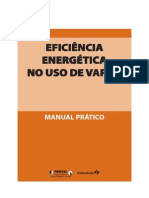 EficienciaEnergeticanoUsodeVapor(manualPratico)