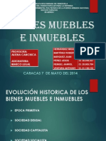 Bienes Muebles e Inmuebles