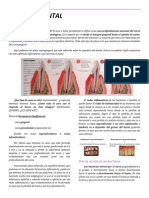 Cálculo Dental KAF PDF