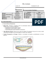 Ficha Estudo - Cordados