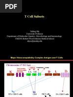 Download T helper cells lecture by Tore Maras-Lindeman SN23375518 doc pdf