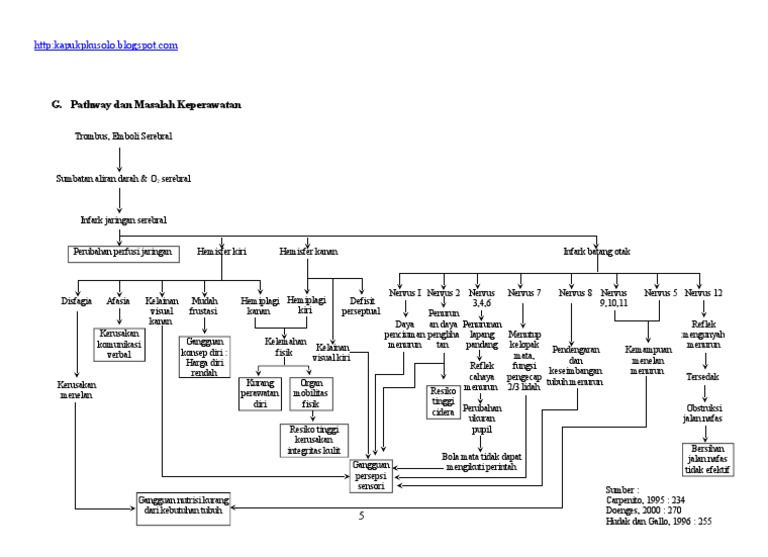 Pathway CVA | PDF